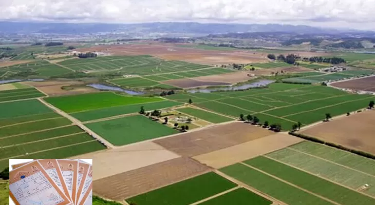 سندار شدن بیش از ۹۵درصد املاک دولتی و اوقافی