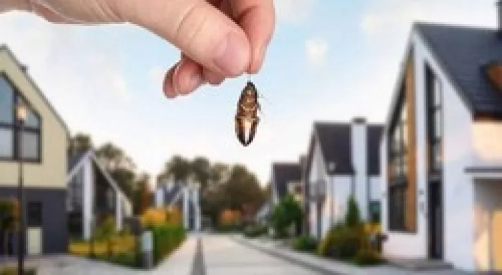 راه برای محافظت از خانه در برابر ورود حشرات از طریق در و پنجره