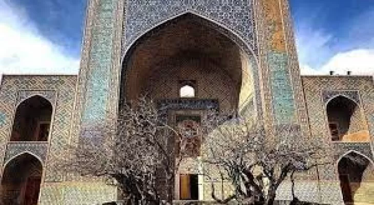 درخت ۶۰۰ ساله مزار مولانا زین‌الدین در انتظار ثبت تاریخی