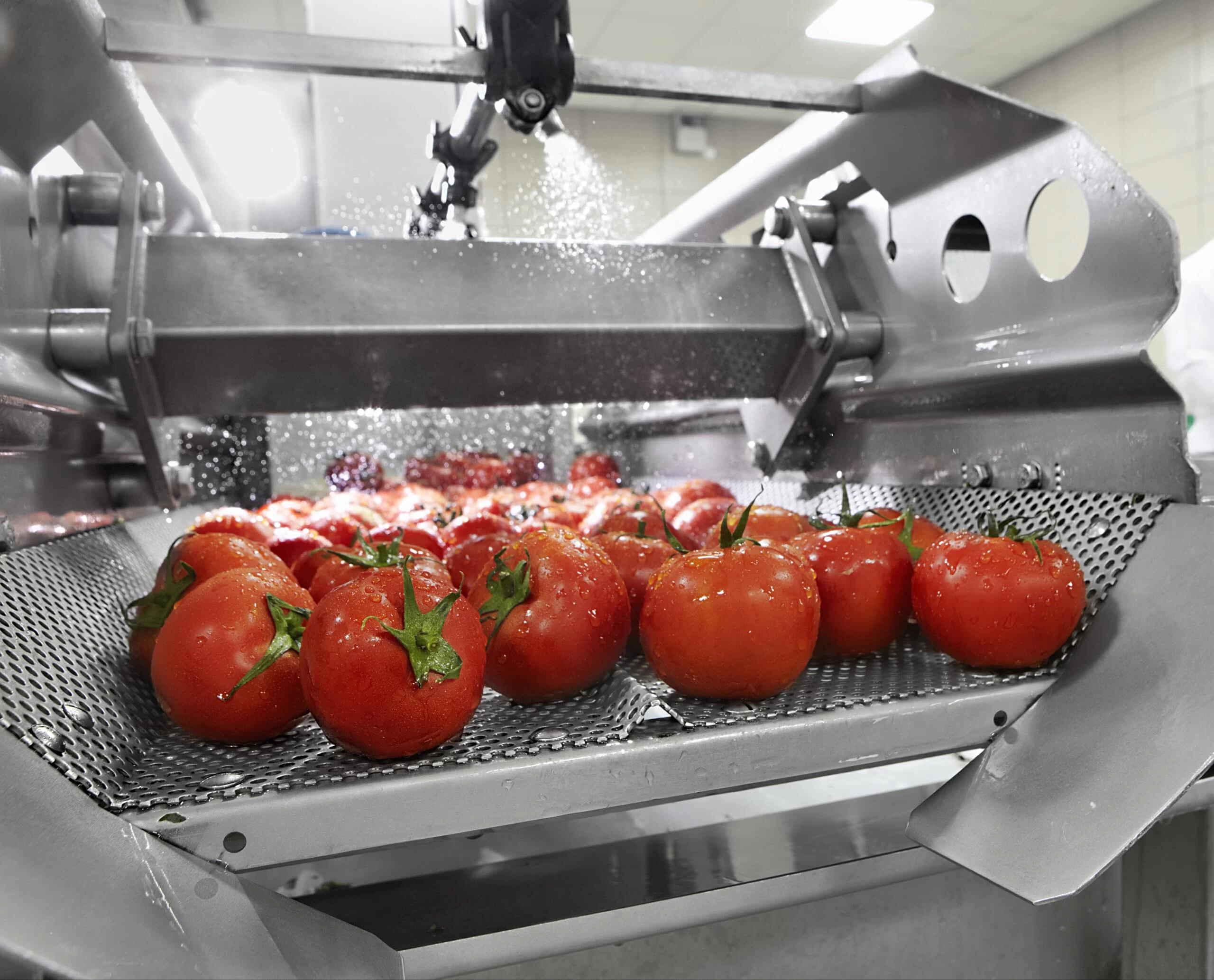 ترفندهای بهداشتی برای حفظ سلامت مواد غذایی