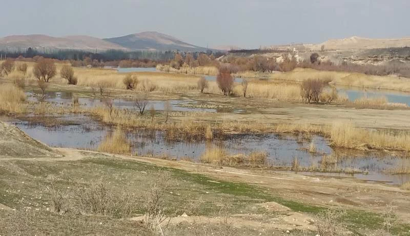 تبدیل ۲ میلیون هکتار از تالاب‌های ایران به منشاء گرد و غبار