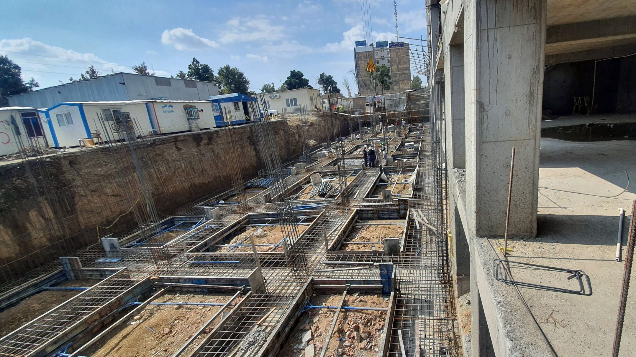 آماد ه سازی ریشه ها