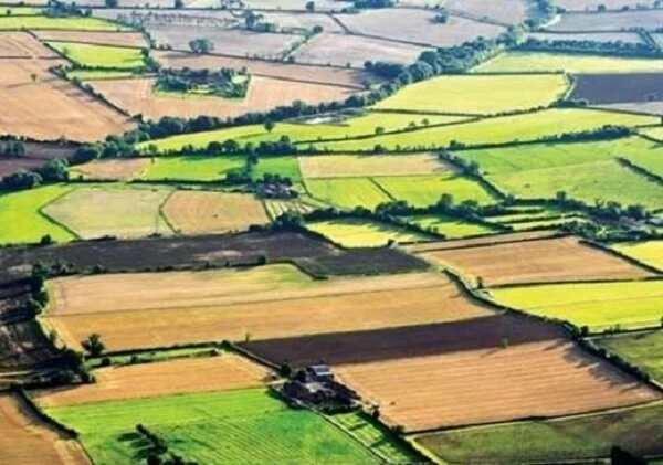 از سامانه زمین و تأثیر آن بر دولت الکترونیک چه می‌دانید؟