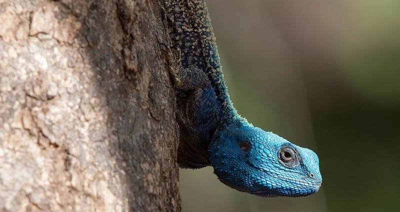 مهارت های ارزشمند در سال 2025