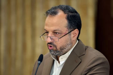 خاندوزی: وزارت اقتصاد مالک بانک آینده نیست