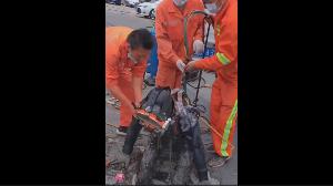 یک شغل سخت و زیان آور