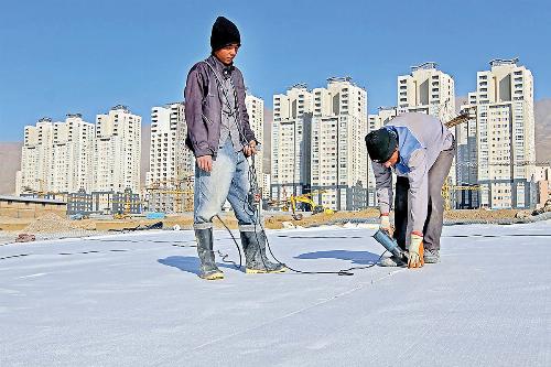 شارژ ارزی معاملات ملک؟ / «دلار» کدام متقاضیان را خریدار کرد؟