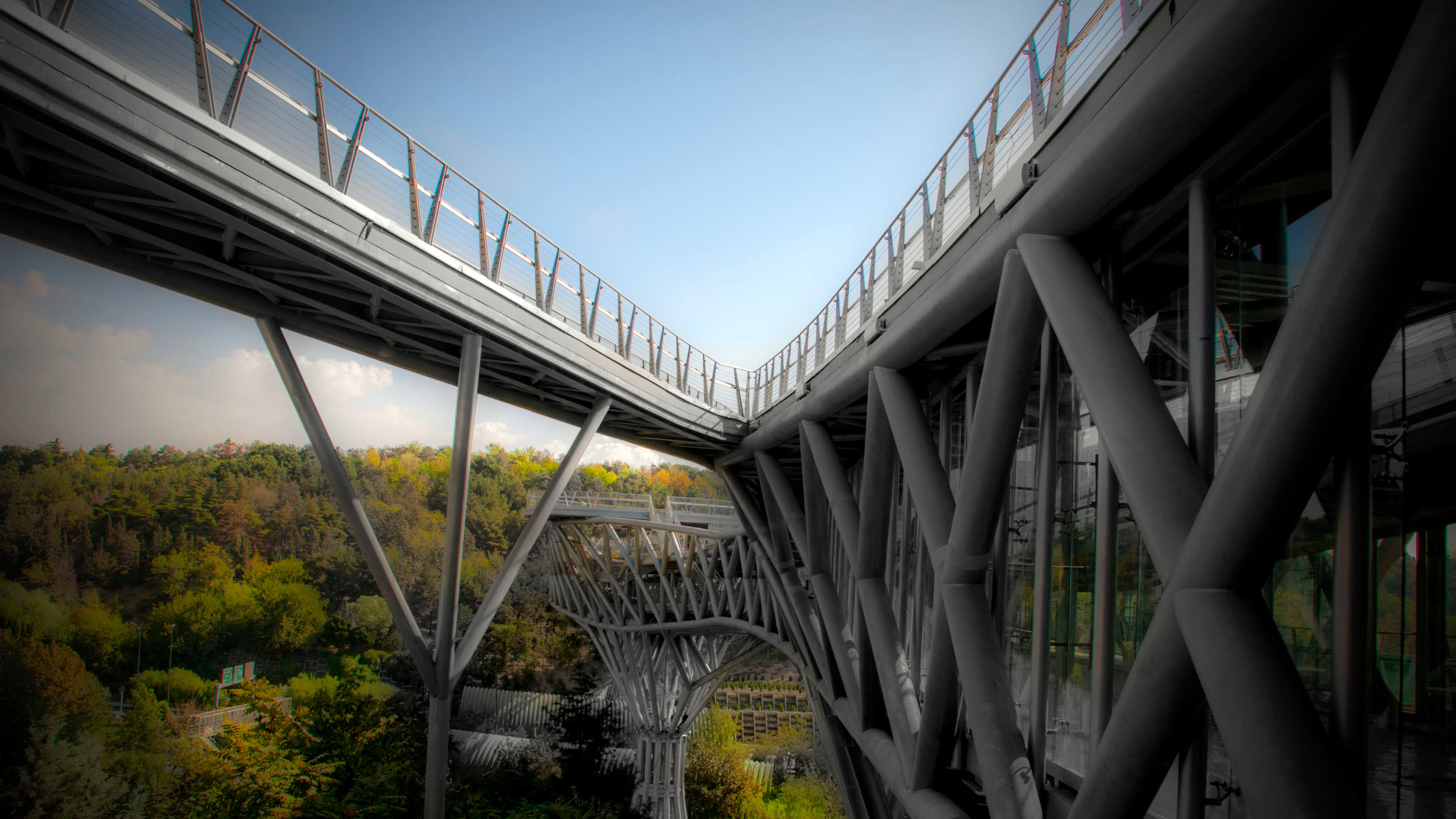 پل پیاده طبیعت + تصاویر