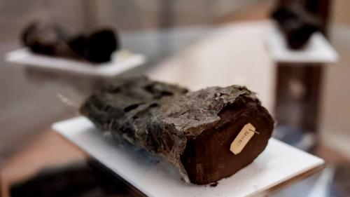 رمزگشایی از طومار باستانی «هرکولانیوم»