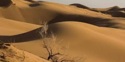 طرح جامع گردشگری لوت تهیه می‌شود