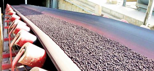 افزایش انتظارات تورمی ناجی نوردکاران شد