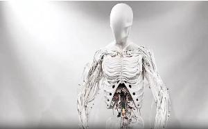 ویدیو/ رونمایی از یک ربات انسان نما با قابلیت انجام وظایف انسانی