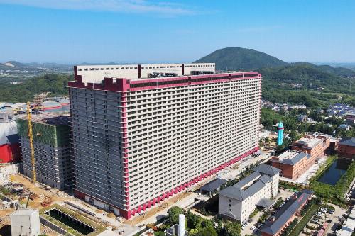 ویدیو/ ساختمان لاکچری پرورش خوک در چین