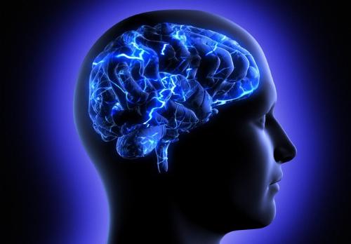 مغز ما برای بقا برنامه ریزی شده، نه موفقیت!