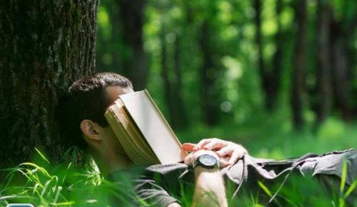  آیا تا به حال یک چرت کوتاه، ناگهان راه حل یک مسئله به ذهنتان رسیده است؟