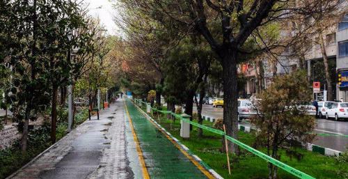 طراح بلوار کشاورز را بشناسید !