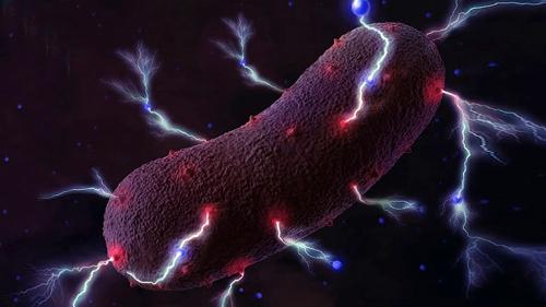 معجزه ای به نام بتن میکروبی برای تولید برق