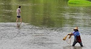 کوچصفهان؛ شهری با ریشه های کهن و طبیعتی دل انگیز در قلب گیلان